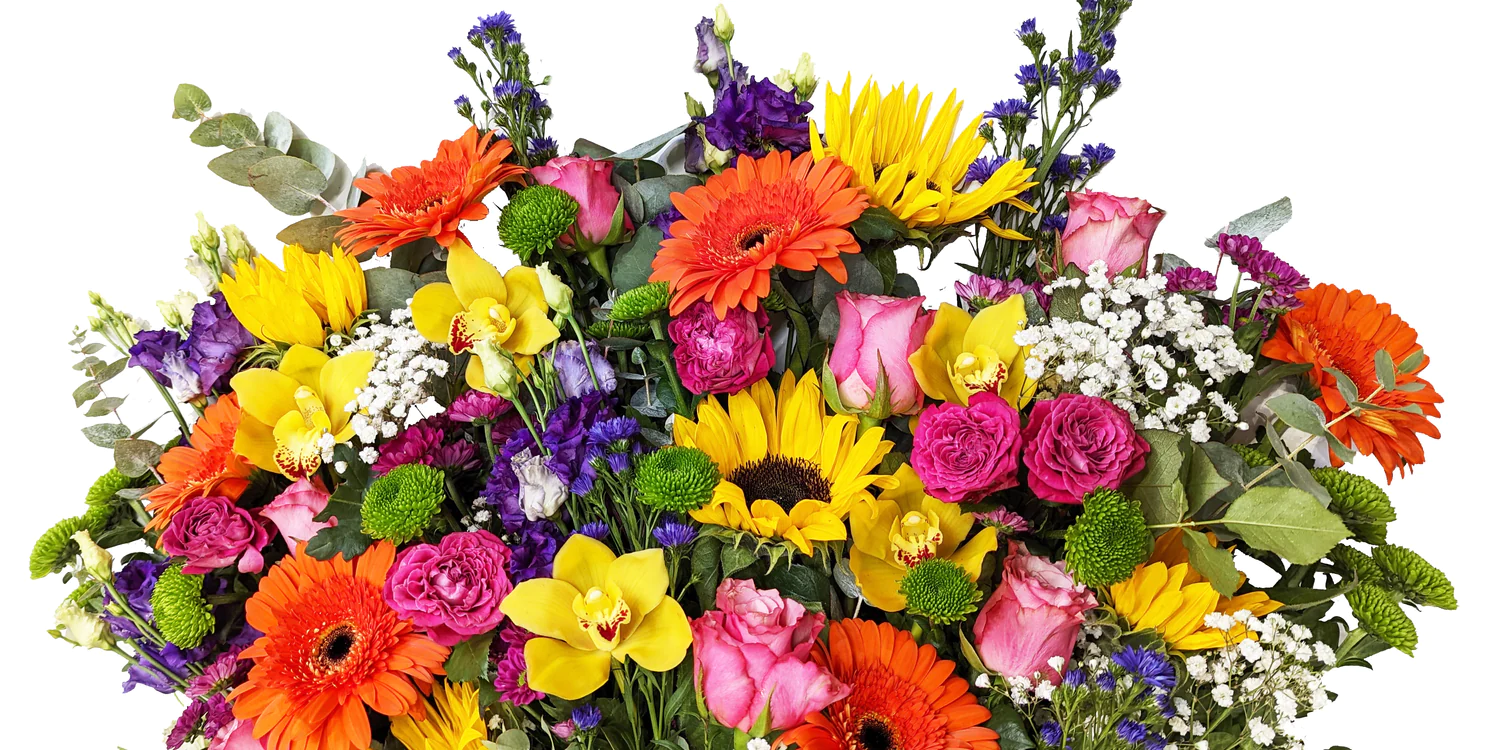 Seasonal Flowers(幼児)【Ai】