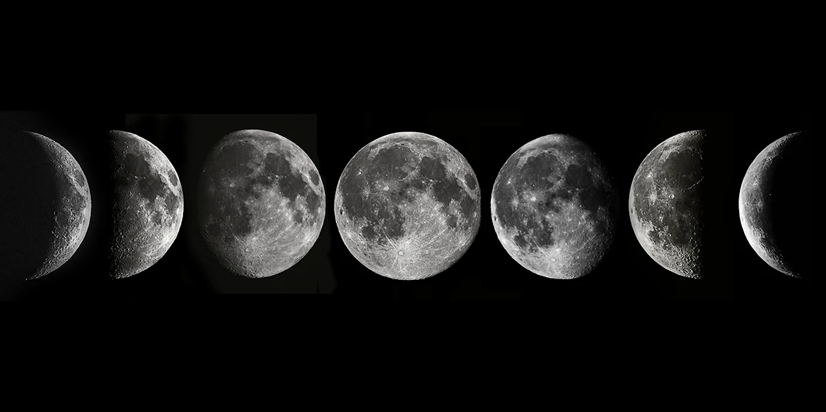 Oreo Moon Phases(幼児)【Qolette】