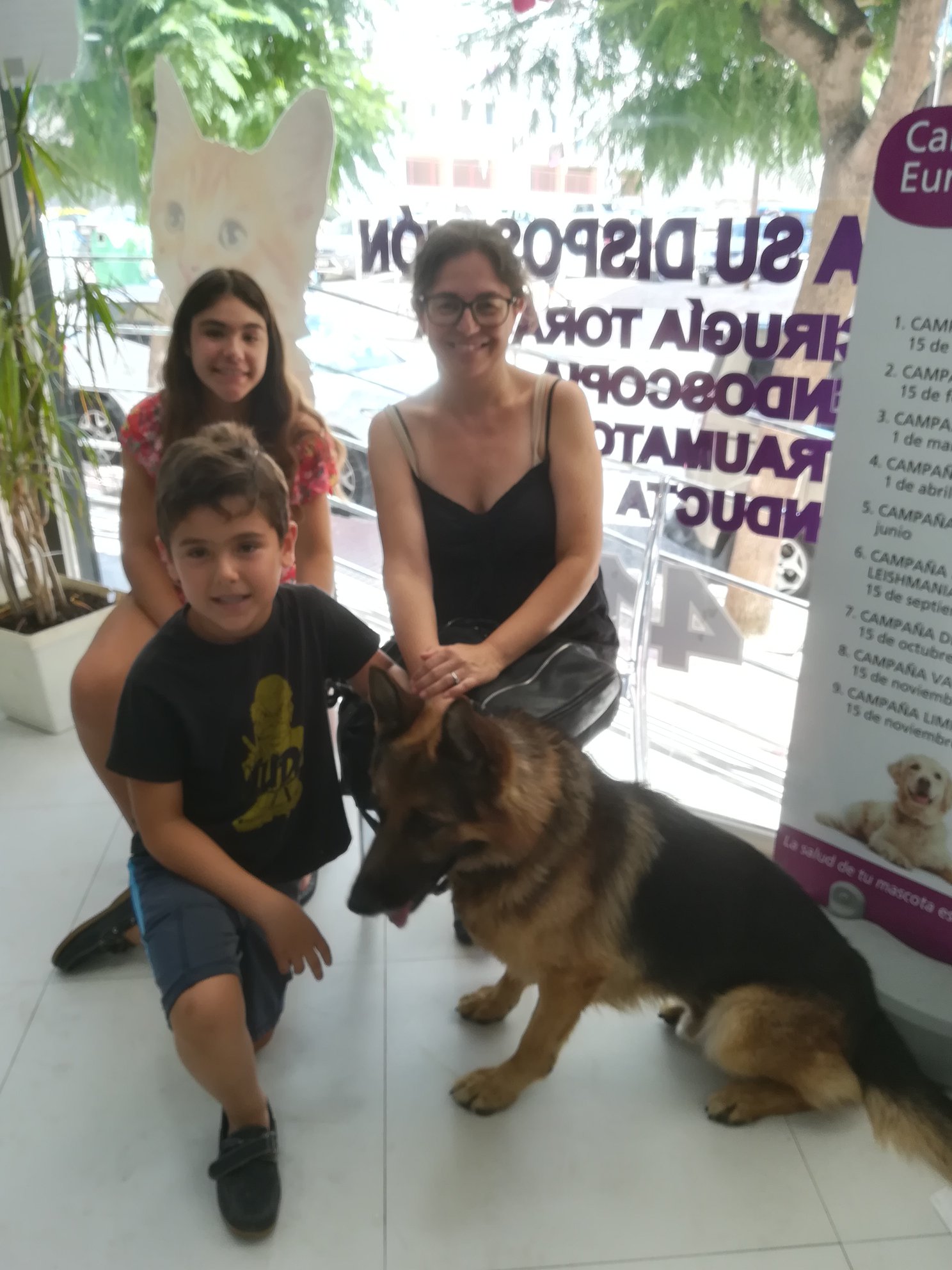 Dusty adopted