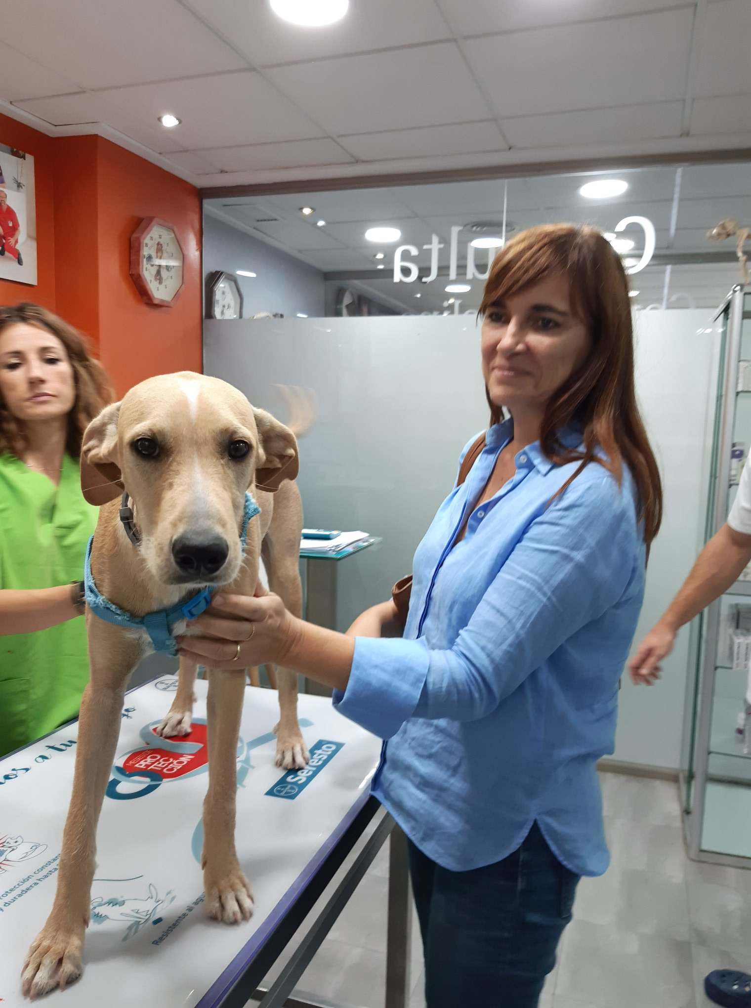 Kiron adopted