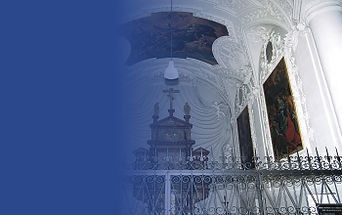 N pro Samouky 3004 bgr.jpg