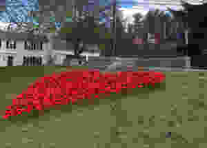 Close up image of homemade poppies forming a heart on town green