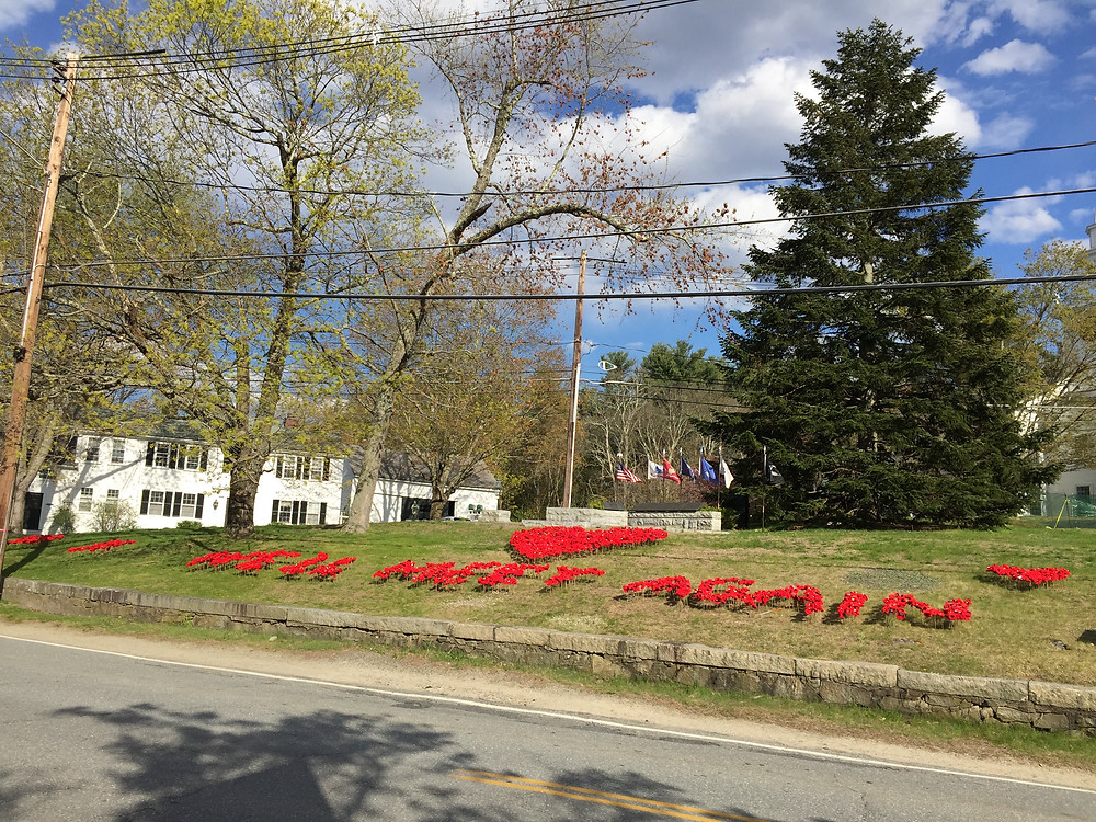 Image of homemade poppies forming a heart and the words "we'll meet again" on town green