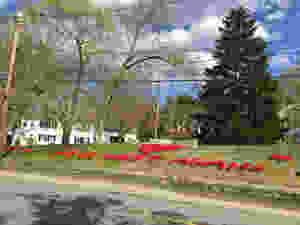 Image of homemade poppies forming a heart and the words "we'll meet again" on town green