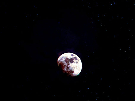 Hoje vi a lua de dia: rose tayra