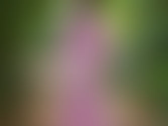 Grossesse#photographe#maternite#enceinte#nouveauné#nouveau-né#bebe#lifestyle#mariage#guadeloupe