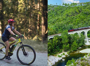 Projet Créateur de collage.jpeg