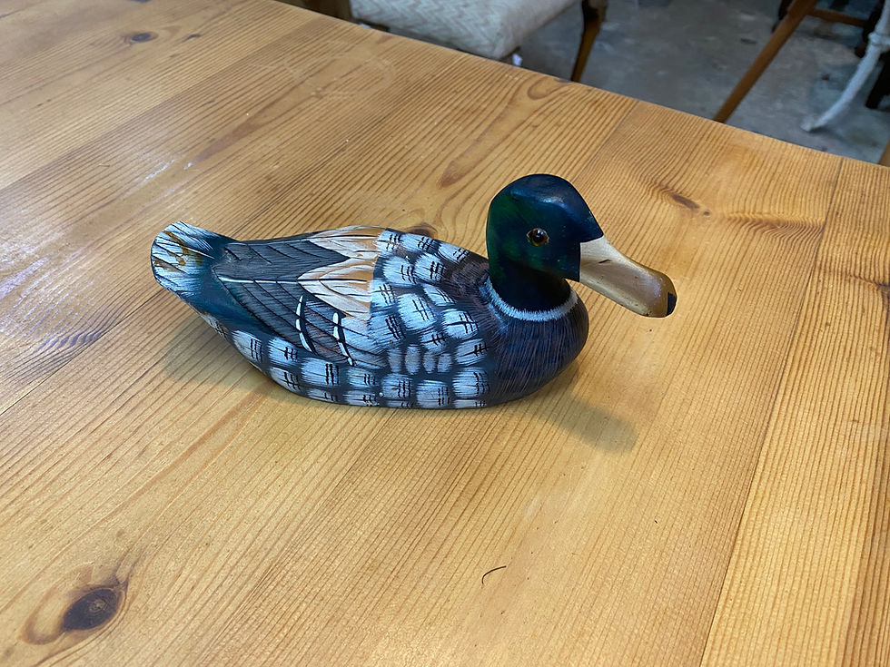 ברווזי עץ קטנים
