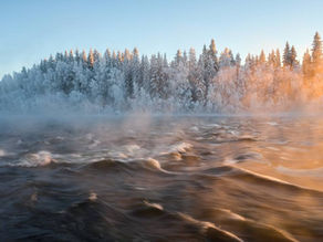 How To Improve Your Nature Photography