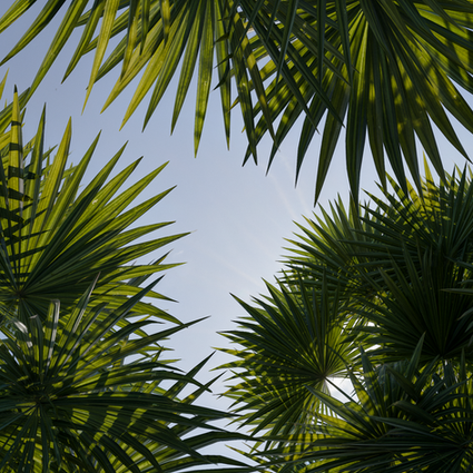 Perspective, render, architecture, 3D, arquitetura, renderização, perspectiva, Interior, Interiores