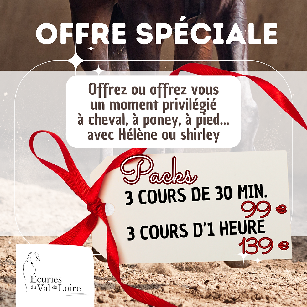 𝗢𝗙𝗙𝗥𝗘 𝗦𝗣𝗘𝗖𝗜𝗔𝗟𝗘 𝗡𝗢𝗘𝗟 : 𝗨𝗡𝗘 𝗙𝗢𝗥𝗠𝗨𝗟𝗘 𝗦𝗨𝗥 𝗠𝗘𝗦𝗨𝗥𝗘 𝗔 𝗣𝗥𝗜𝗫 𝗣𝗥𝗢𝗠𝗢 !