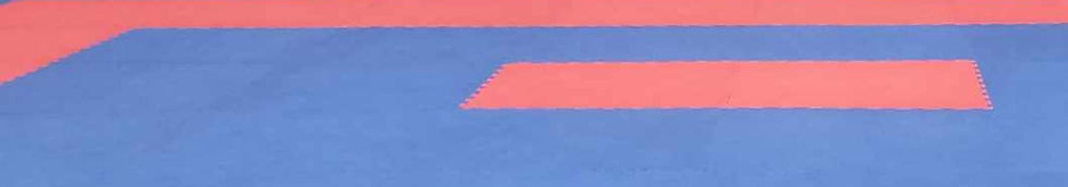483400401_1207293301185788_952394904392631491_n_edited_edited.jpg