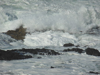 waves 1.JPG