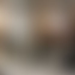 Noleggio Sala Pianigiani