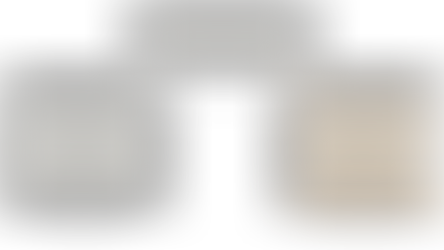 Programme Narrative vs Schedule