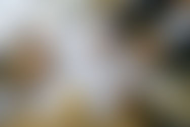 Specialist Subcontractors