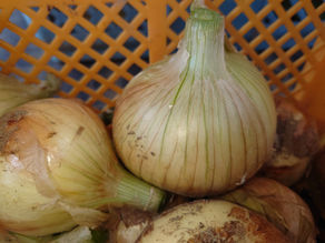 注文の野菜!