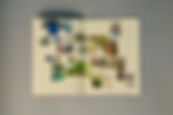 DSC_1678.jpeg