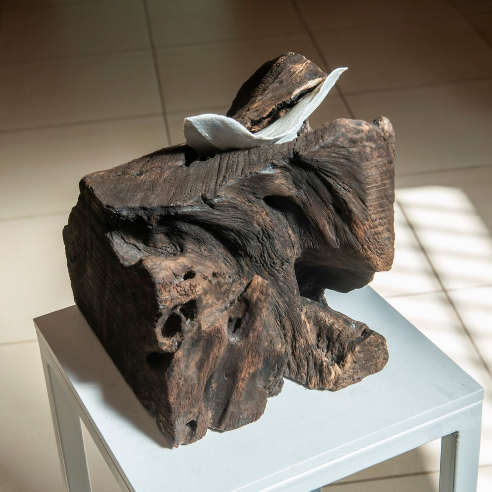 Touch Wood (13).JPG