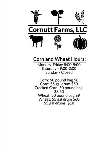 Corn Hours.jpeg