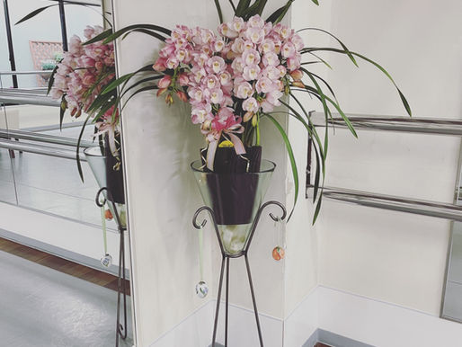 赤坂スタジオへ春の風🌸