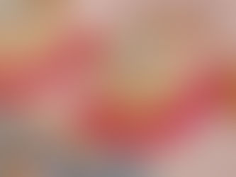 シンデレラの馬車💕
小鳥ちゃんのお衣裳✨
赤坂スタジオに飾っています❤️