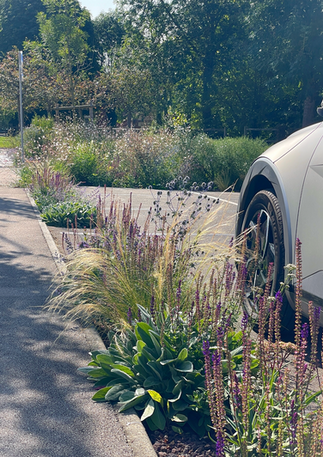 Bordure fleurie estivale près d'une voiture, conception de parking paysager