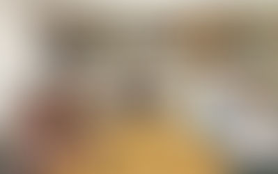 Articulação Institucional-Em prol da redução da a atividade ilegal no setor.