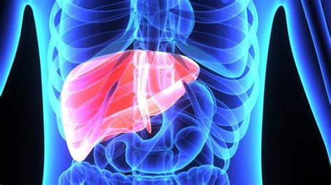 Why do a Liver Detox?