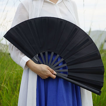Taiji Fächerform.jpg