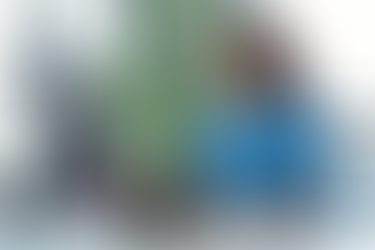 nurse working at a computer