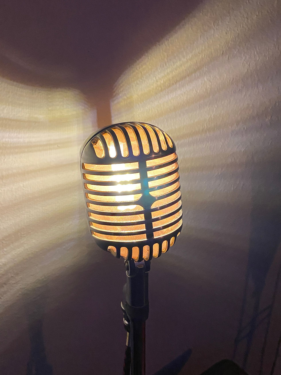 Shure FatBoy Mic Lamp