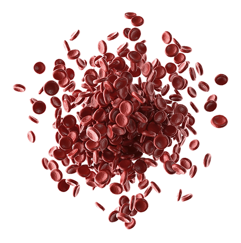 HEMATOLOGIA MEXICALI, HEMATOLOGO EN MEXICALI, HEMATOLOGO EN BAJA CALIFORNIA, DRA. KARINA URBINA