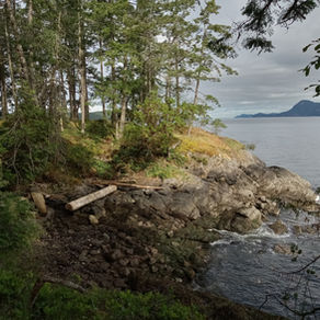 Thank you Pender Island!  We had a great response to the "Double Your Impact for Conservation" Campaign