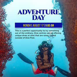 This is the perfect opportunity to try something out of the ordinary. Dive centres will be offering unique dives at sites rarely visited outside of Dive Fest.