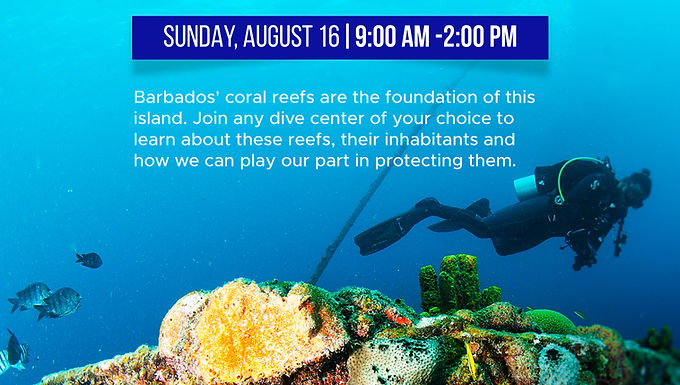 Coral Reef Day (X2 Tank)