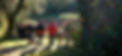 sylvain-brison-2RNkFoaK5JA-unsplash_edited.jpg