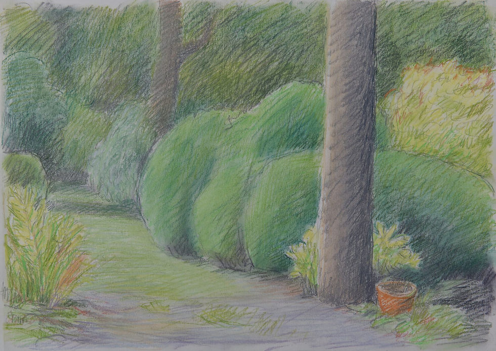 Pastel12-Gerry-van-der-velden