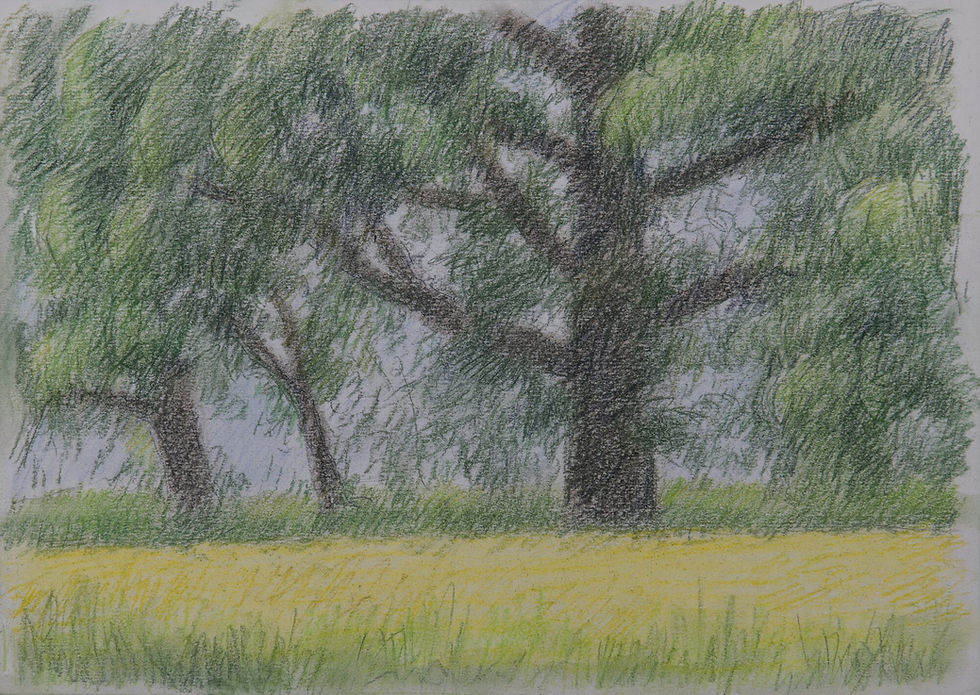 Pastel4-gerry-van-der-velden
