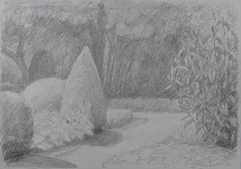 potloodtekening-tuinpad-met-conifeer-gerry-van-der-velden