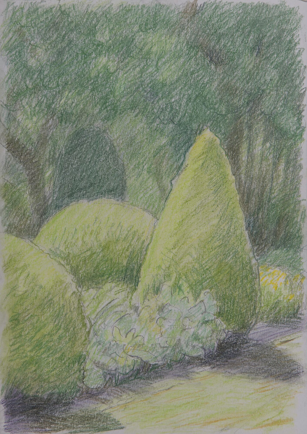 Pastel15-gerry-van-der-velden