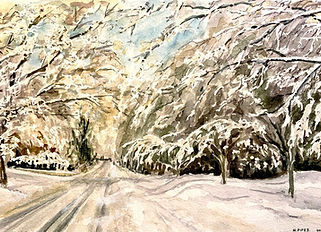Nottingham Road in winter 11 IMG_7014.jpeg