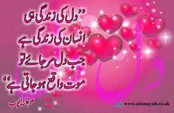 Dil ki Zindagi Q