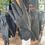 Thumbnail: Lightweight Riding Glove | Black