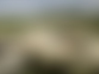 Rancho Santa Marina: excelente opción de Turismo Rural en Querétaro.