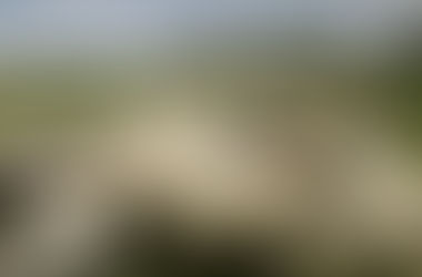 Rancho Santa Marina: experiencia única de turismo rural