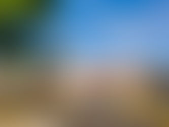 The Home Depot abre su quinta tienda en Querétaro