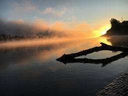Foggy pink and yellow sunrise over the river, with the silhouette of a large piece of driftwood in the foreground.