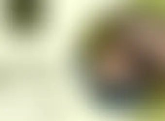 Luxury resort integrated with curved architecture and water views