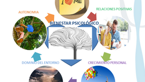 Planeación Estratégica ¿Para la Vida?